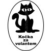 Samolepka - Kočka za volantem