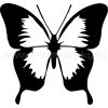 Samolepka - Motýl