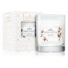 santini cosmetic fresh cotton vonna svicka (1)