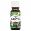 vo boruvka 10 ml