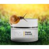 Rozjasňující hydratační krém SNAIL extract BACK IN TIME  50 ml