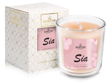 346 2 santini svi c ka sia 1