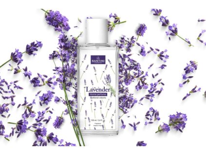 1924 osviezovac vzduchu santini lavender 100 ml
