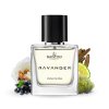 Férfi parfüm SANTINI •RAVANGER•, 50 ml