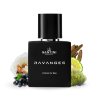 Férfi parfüm SANTINI •RAVANGER•, 50 ml