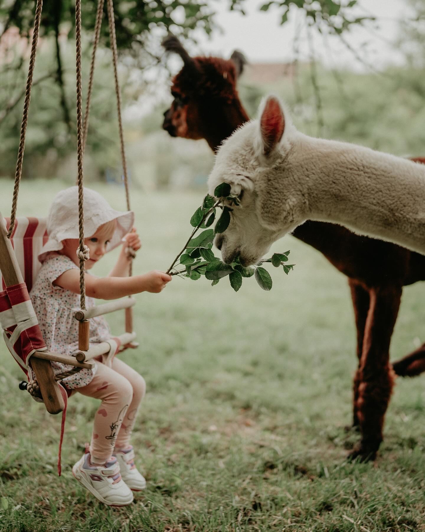 Skvělý rodinný zážitek