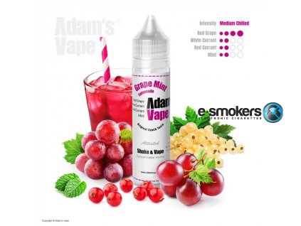 prichut adams vape shake and vape 12ml grape mint lemonade