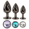 ANOS Metal Butt Plug Set