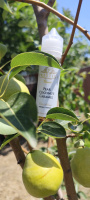 Prestige - Pear Coconut Caramel