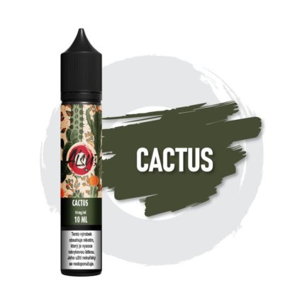 Aisu Cactus