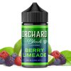 Příchuť Five Pawns Berry Limeade 20ml