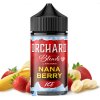 Příchuť Five Pawns Nana Berry Ice 20ml