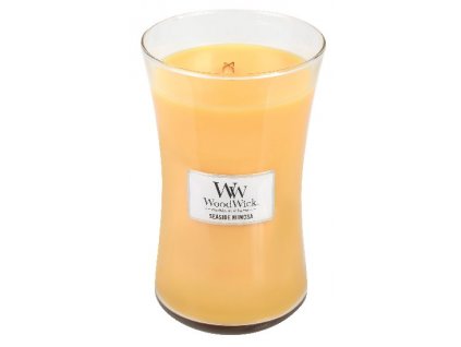 31958 WW velká Seaside mimosa