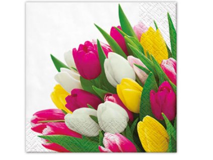 Ubrousky PAW -Tulipány (SDC121500)