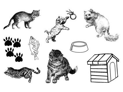 18738 gelova razitka 15 x 10 cm kocky