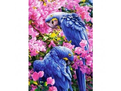 Diamantový obrázek - Fialový papoušci v květinách 30x40 cm