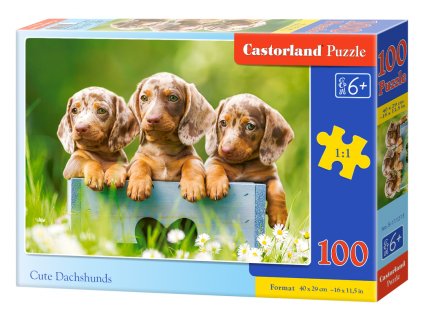Puzzle Castorland 100 dílků premium - Roztomilí jezevčíci