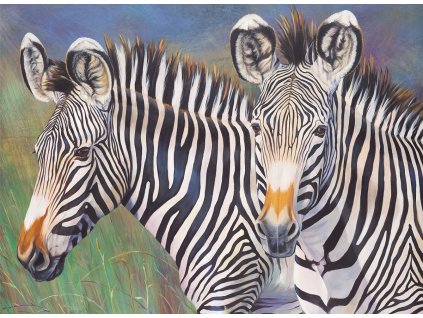 Malování podle čísel 40x30 cm-Zebry