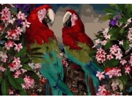 32502 1 sni mek obrazovky 2026 01 01 v 21 31 55