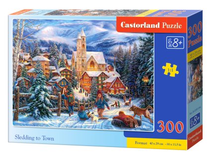 29606 1 puzzle 300 dilku sankovani ve meste