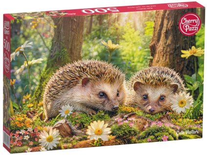 30204 2 20227 catalog