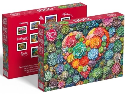 31017 30981 bbw kopie