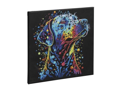 31956 3 akrylova umelecka sada