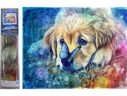 32727 1 sni mek obrazovky 2025 06 04 v 12 59 48