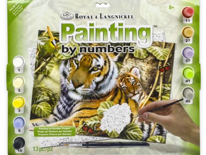 34491 1 sada malova ni podle c i sel s barvami a s te tcem tygr