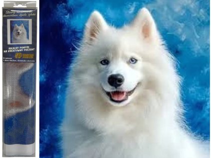 34440 5 diamantova malovani snezny pes