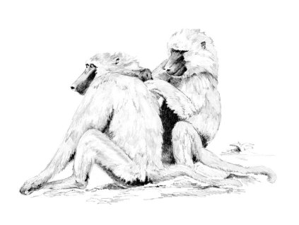 20082 2 skbnl7 highres