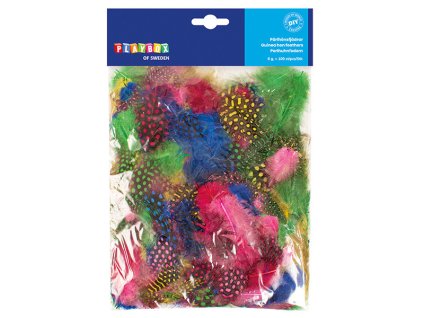 18462 2470043 750x750