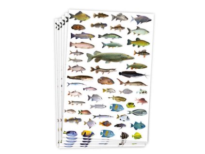 23919 2471101 750x750