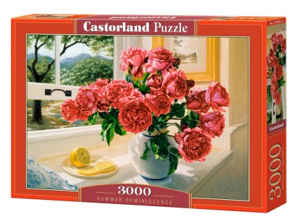 25227 2 puzzle castorland 3000 dilku vzpominka na leto