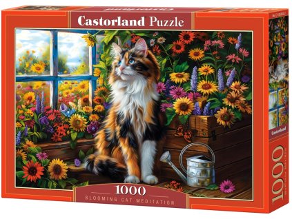 31341 puzzle castorland 1000 dilku blooming cat meditation