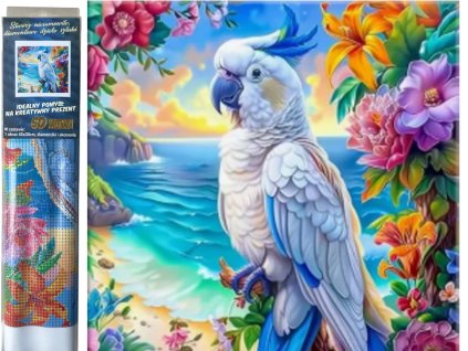 31539 1 photoroom 20250126 121424