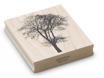 Enkaustické razítko - jasan (95x83 mm)