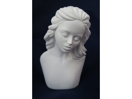 Odlitek bysta CAROLA
