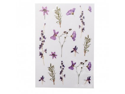 60e13281 f955 4ba7 9f92 3ee3dd9cc040