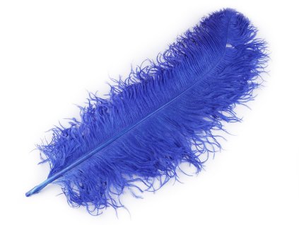 Pštrosí peří délka 60 cm (Balení 1 ks, Varianta 9 bílá)