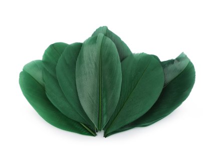 Husí peří délka 5,5-7 cm (Balení 1 sáček, Varianta 1 bílá)