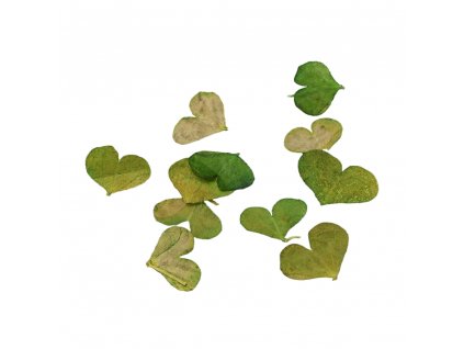 25aa4b67 9c9f 4ed3 b460 d31b1ee97978 PhotoRoom.png PhotoRoom