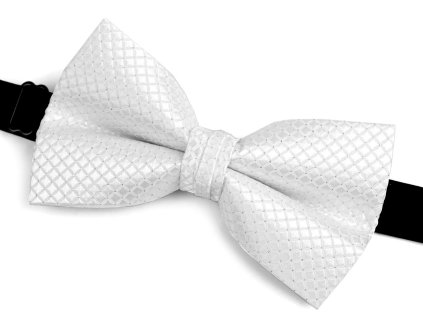 Motýlek dvojitý v krabičce (Balení 1 ks, Varianta 1 bílá)