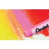 Olejové pastely Pentel (25ks)