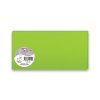 Barevná dopisní karta Clairefontaine 106 x 213 mm do DL obálek, 25 ks, výběr barev zelená, DL