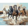 Malovaní na plátno 40x50cm Běžící koně ve vodě