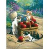 Malování podle čísel 22x30cm - Kočky