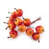 Umělá jablíčka na drátku (Balení 12 ks, Varianta oranžovožlutá červená)