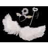 Karnevalová sada - anděl, péřová křídla (Balení 1 sada, Varianta bílá)