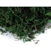 Dekorační mech 50 g (Balení 1 ks, Varianta zelená)